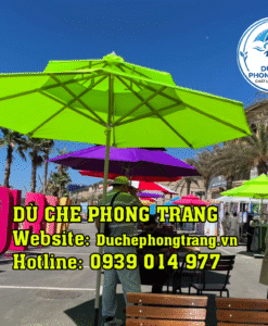 Dù che nắng lệch tâm - Dù Che Phong Trang