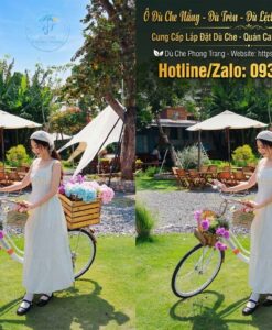 Lắp Đặ Dù Che Nắng Trọn Gói Bao Nhiêu Tiền Tại Bình Định